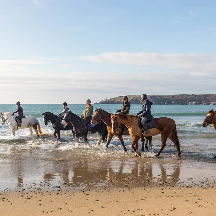 Discover the Vibrant Heart of Carrigtwohill